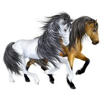 a pair of beautiful horses